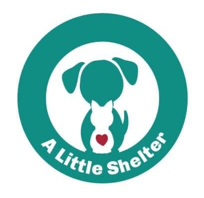 a little shelter Athens rescued dog